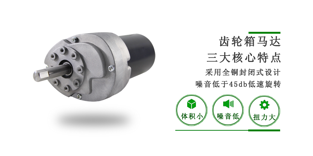 齒輪直流減速電機 齒輪直流減速電機